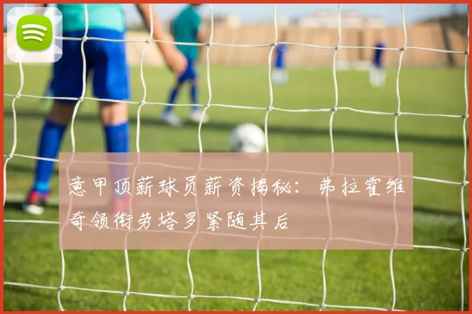 意甲顶薪球员薪资揭秘：弗拉霍维奇领衔劳塔罗紧随其后