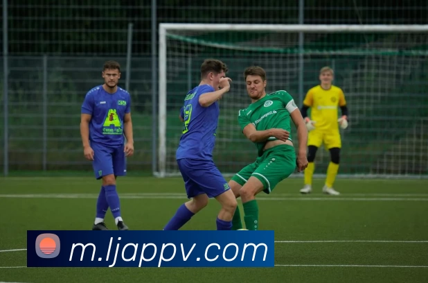 多媒体互动体验